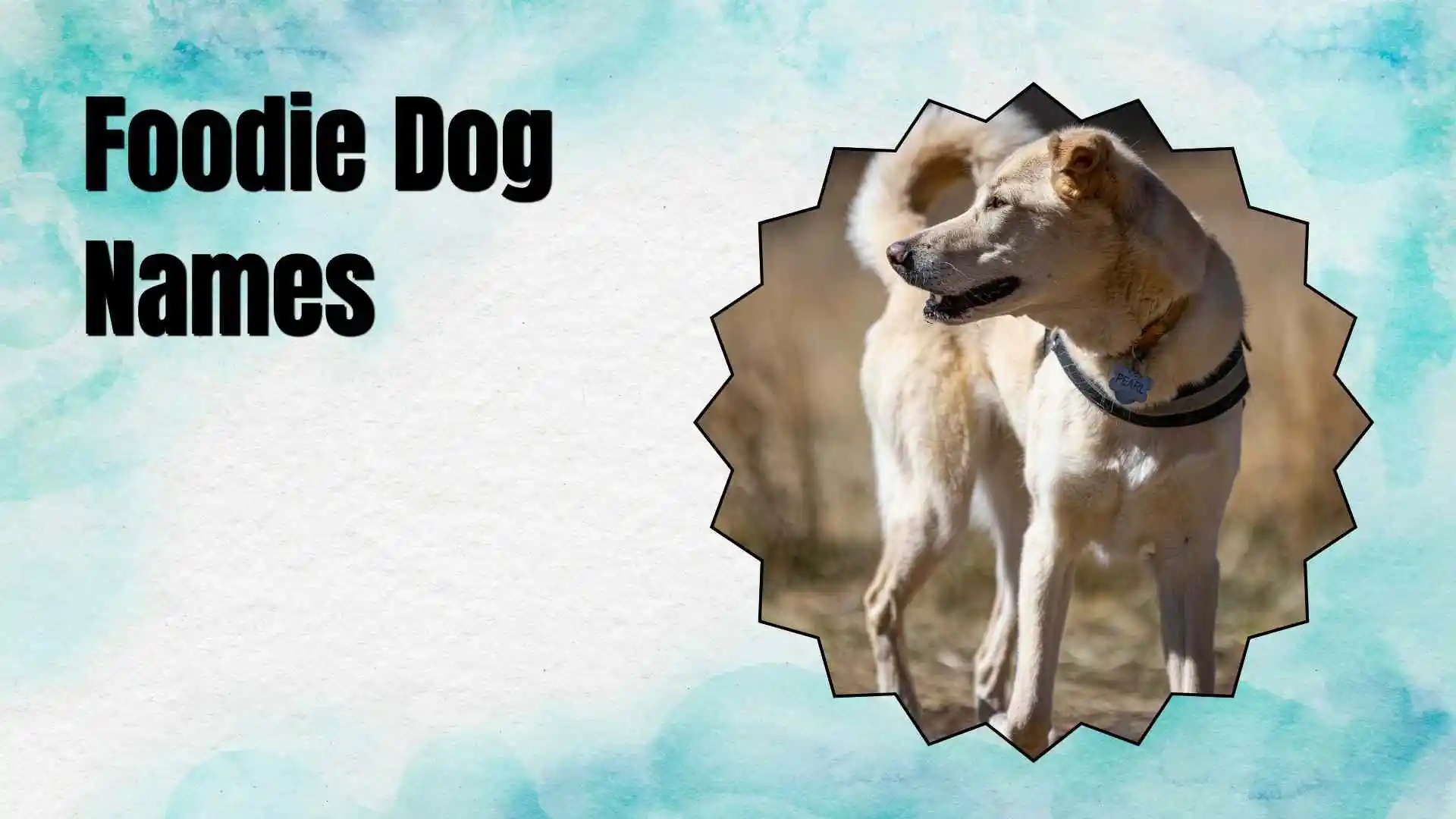 foodie dog names
