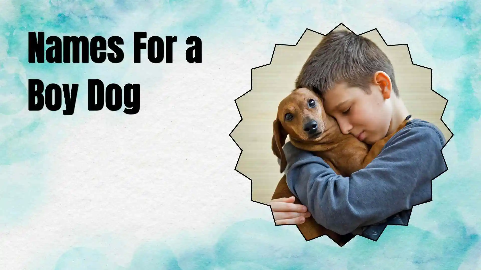 names for a boy dog