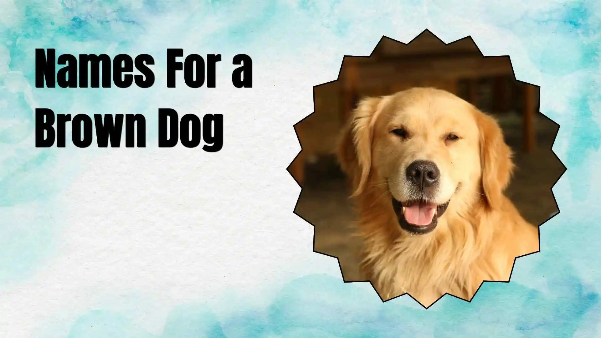 names for a brown dog