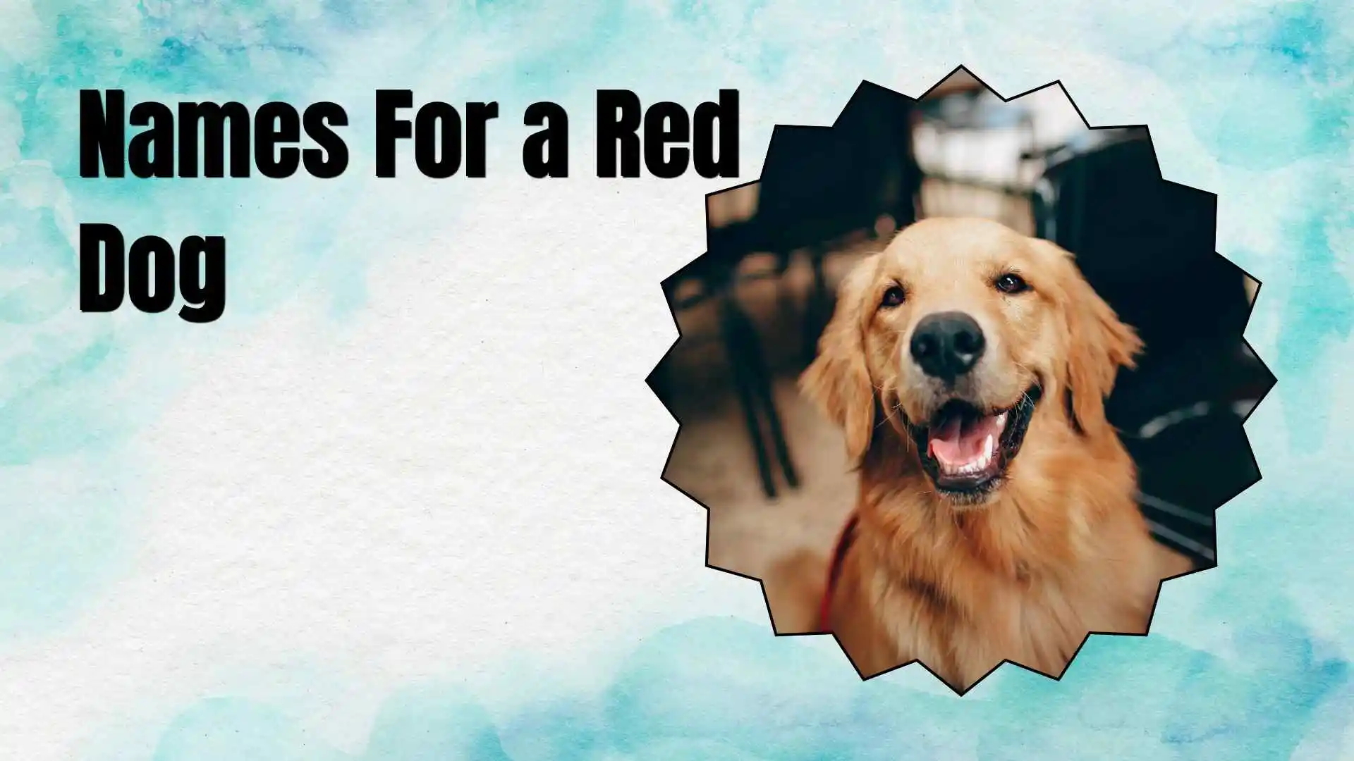 names for a red dog