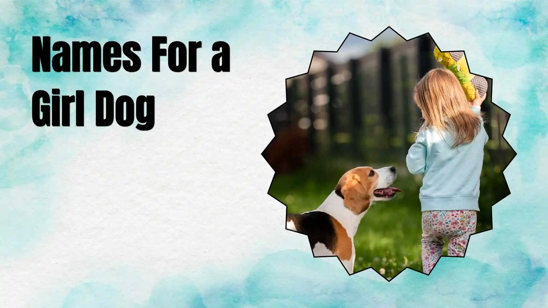 names for a girl dog