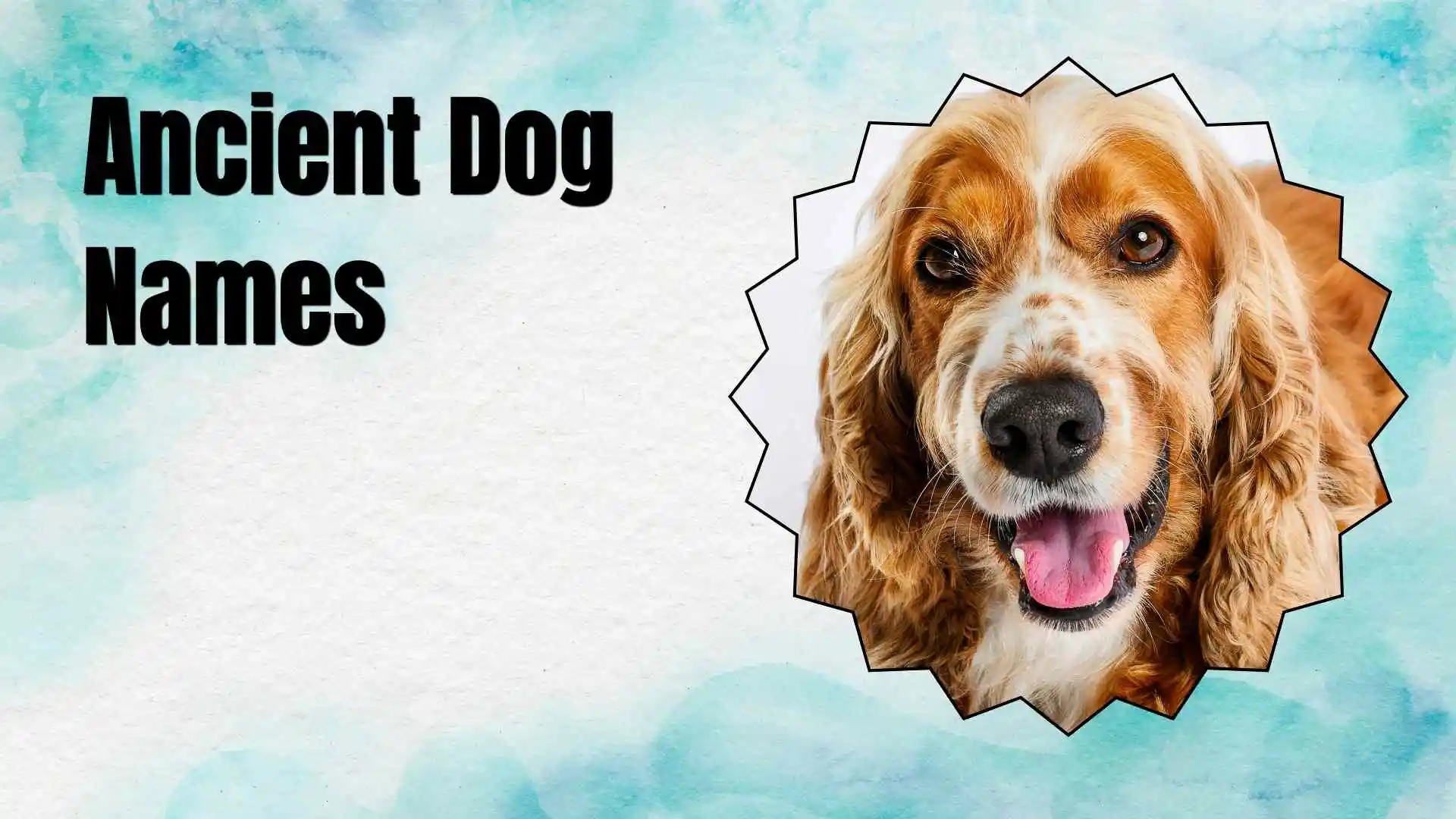 ancient dog names