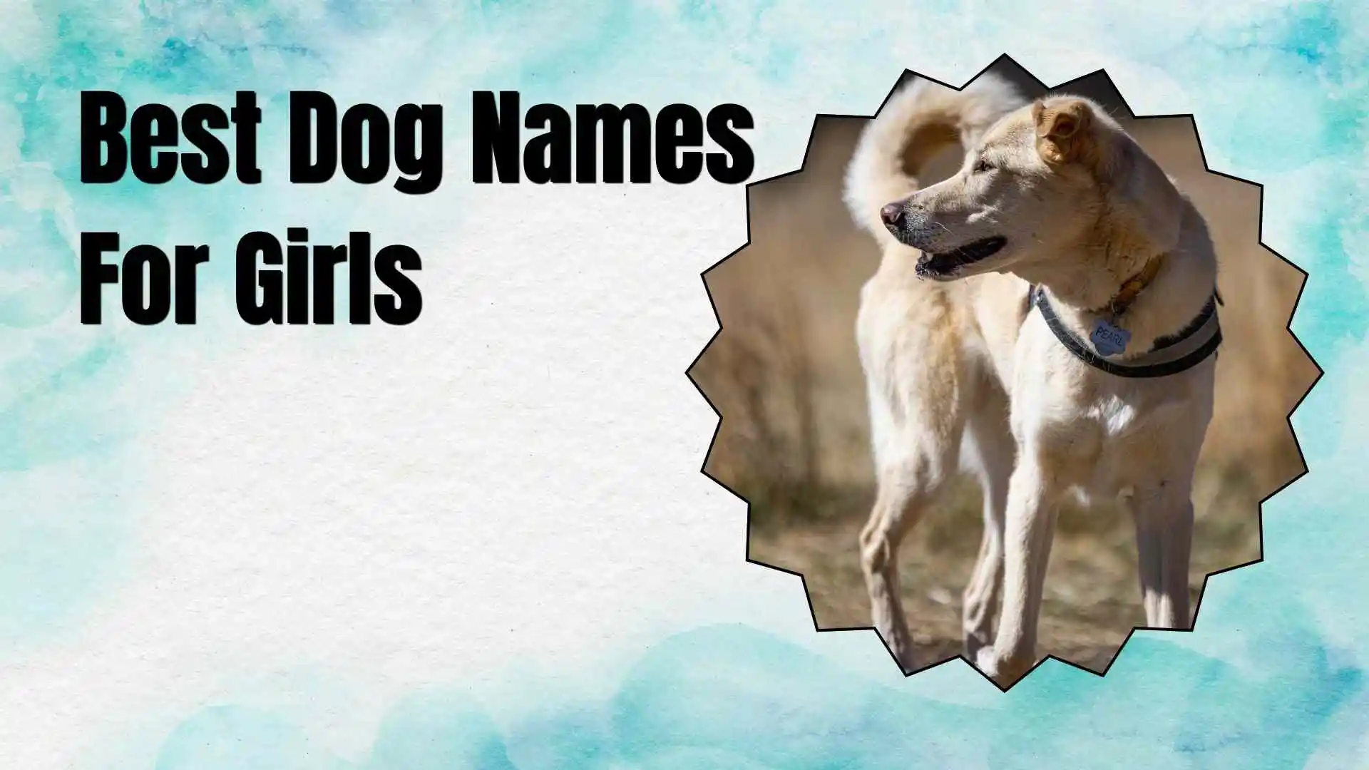best dog names for girls