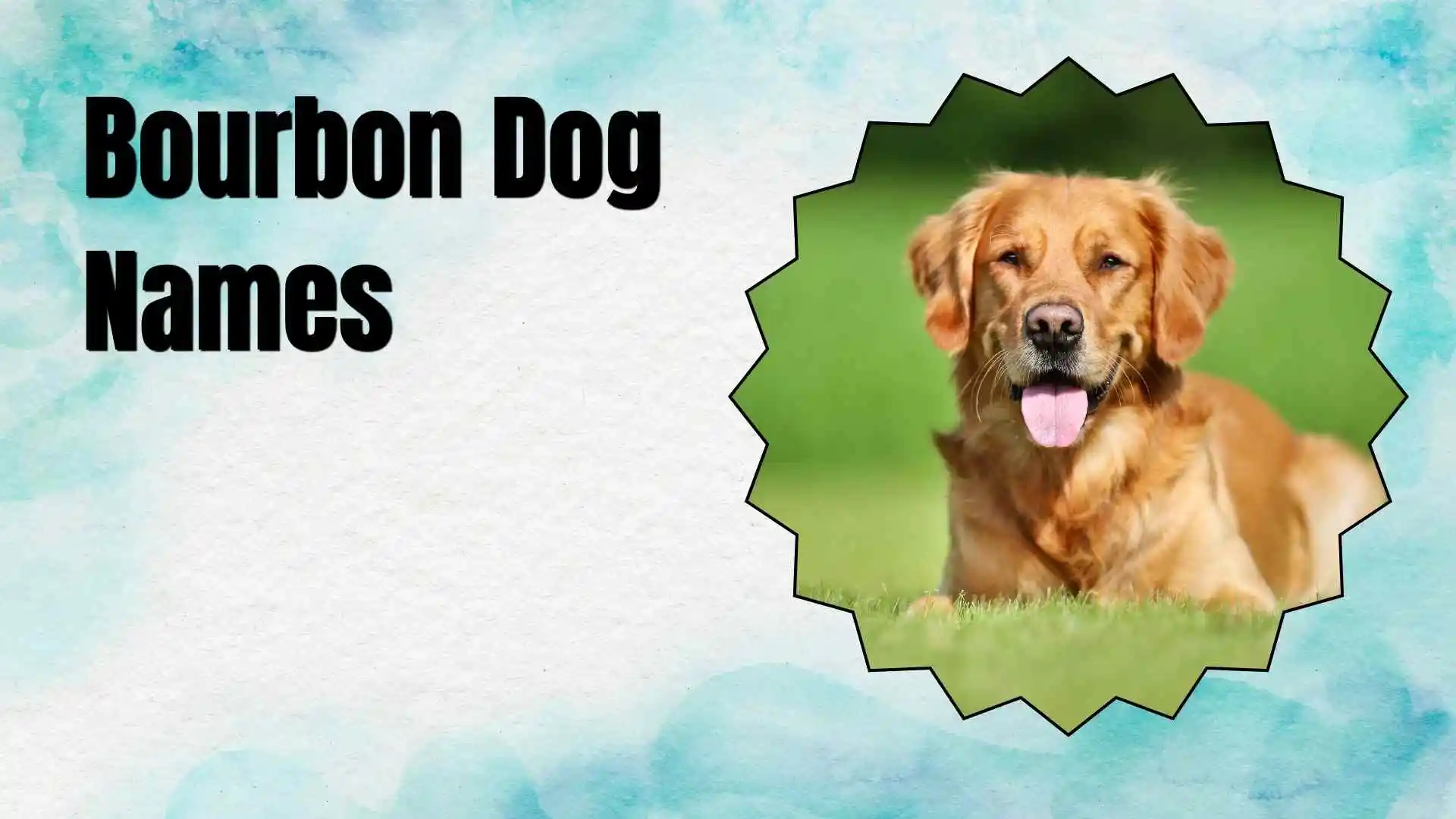 bourbon dog names