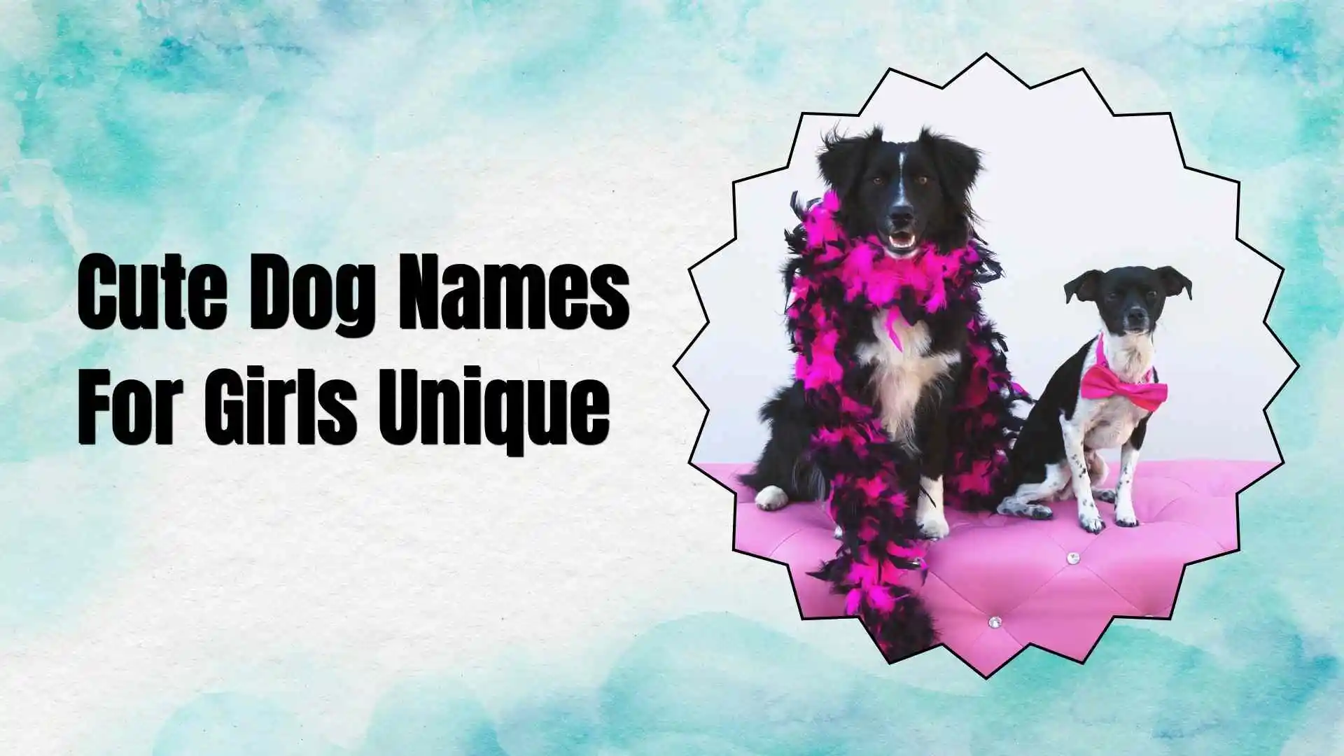 cute dog names for girls unique