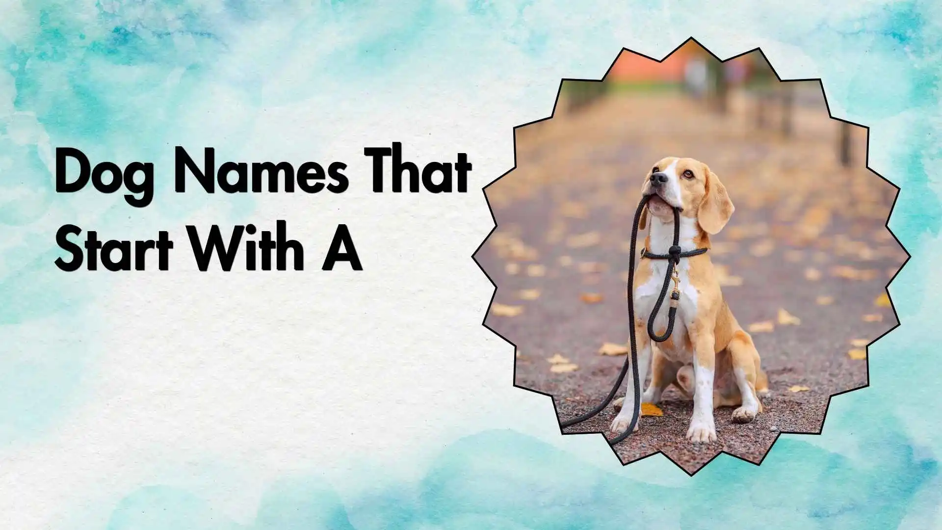 dog names that start with a