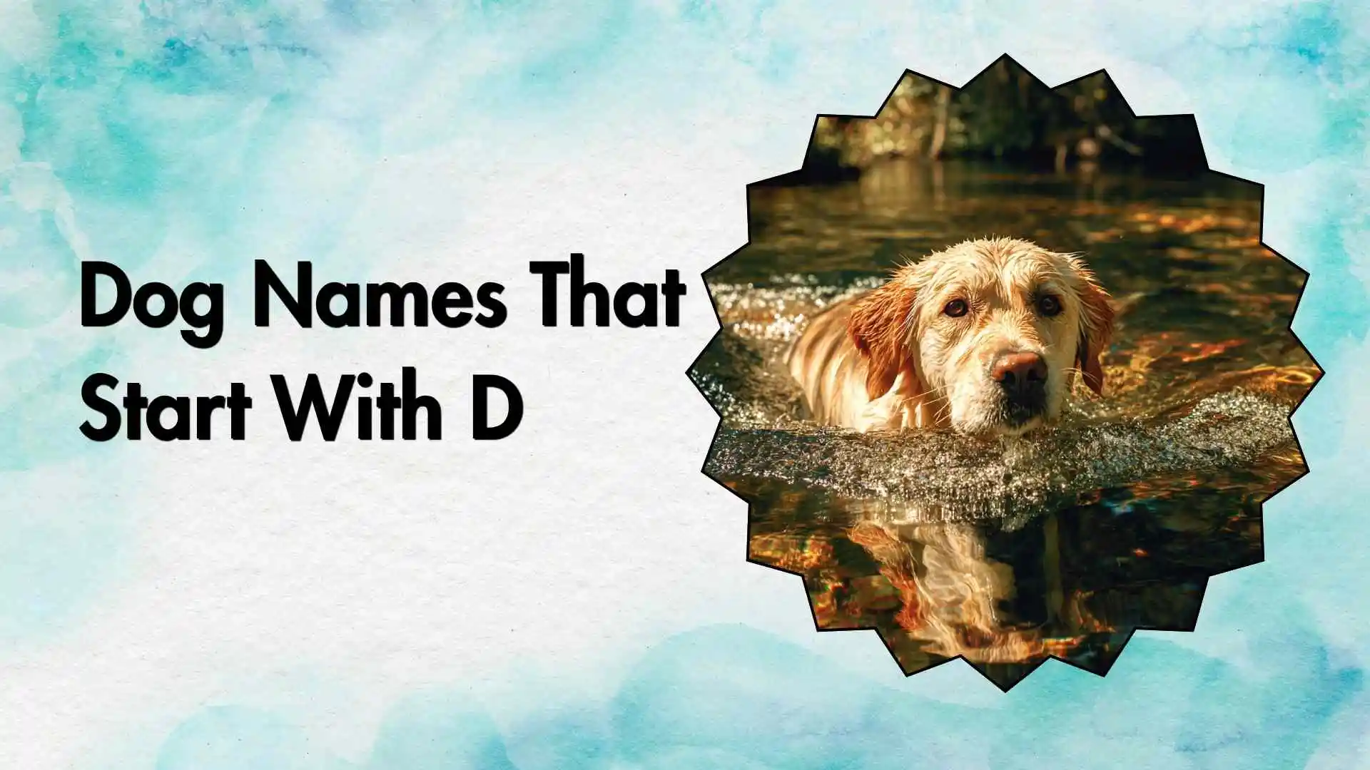 dog names that start with d