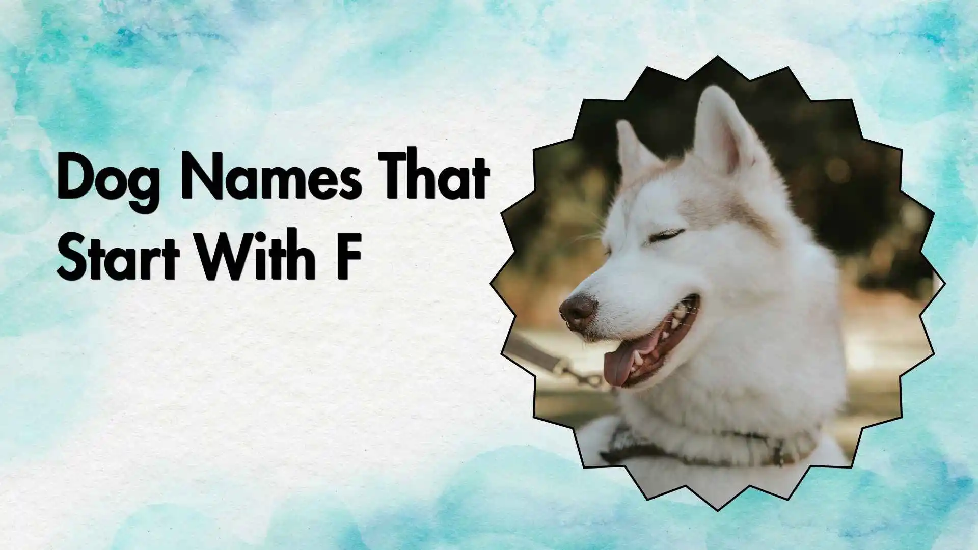 dog names that start with f