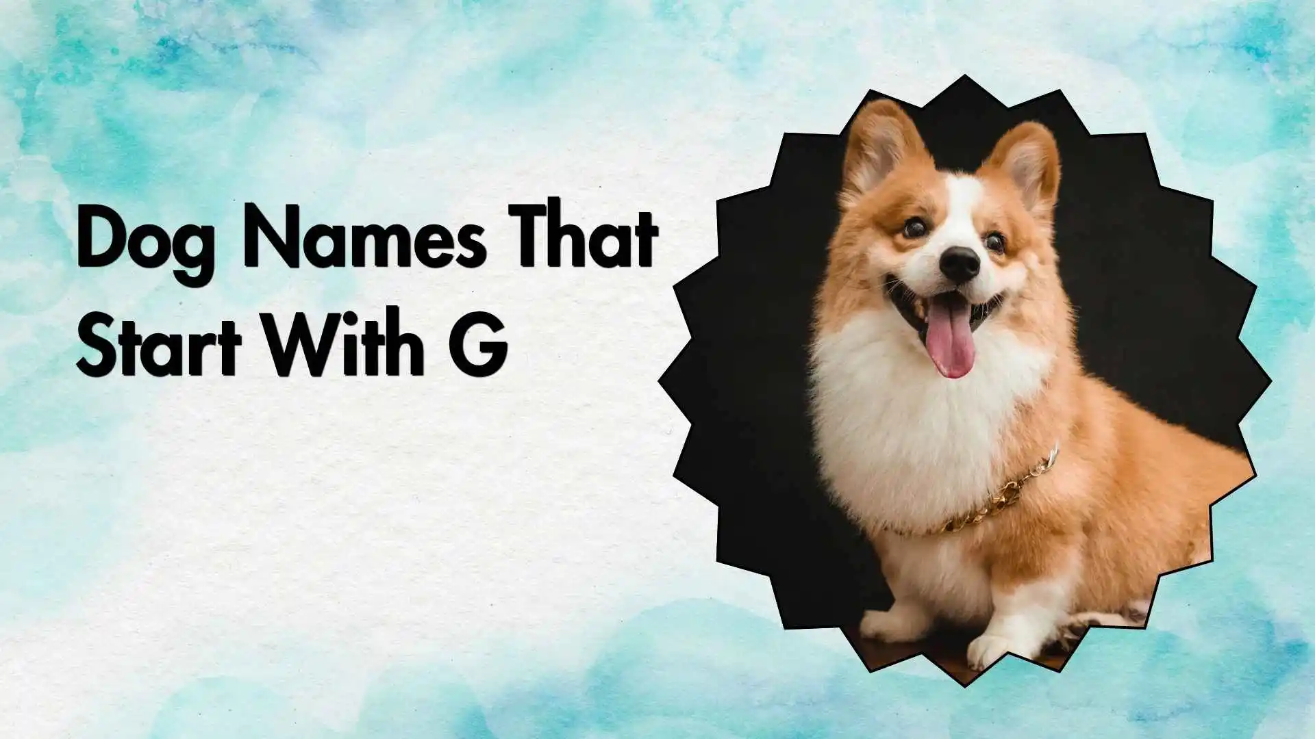 dog names that start with g