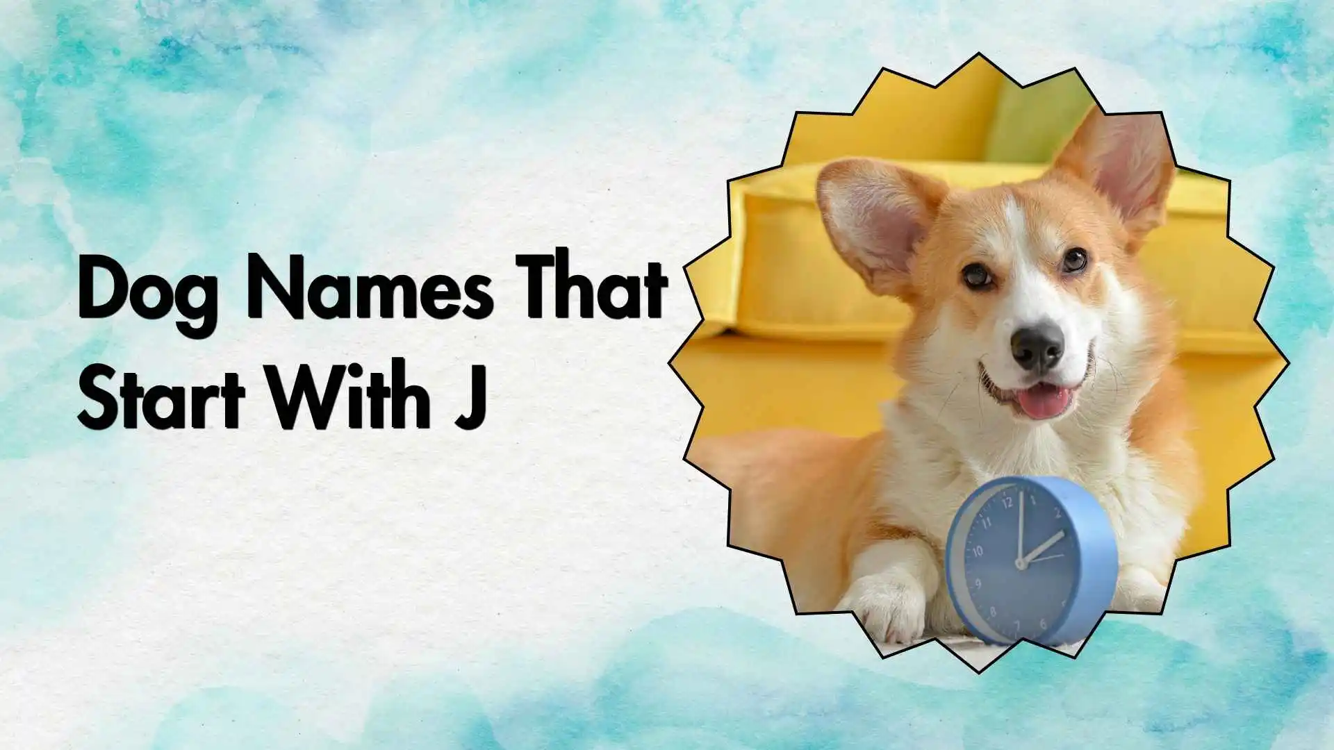dog names that start with j