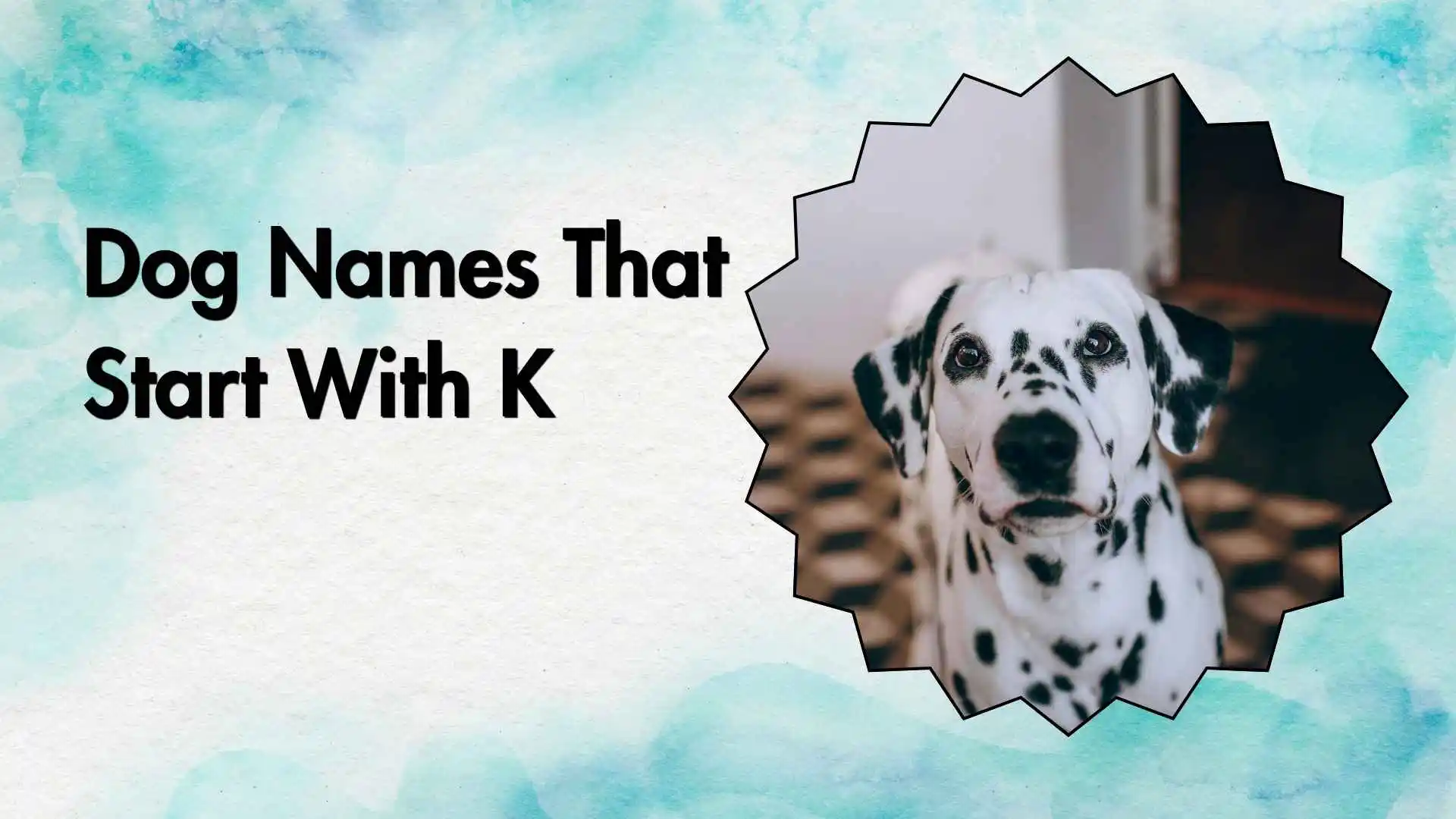 dog names that start with k