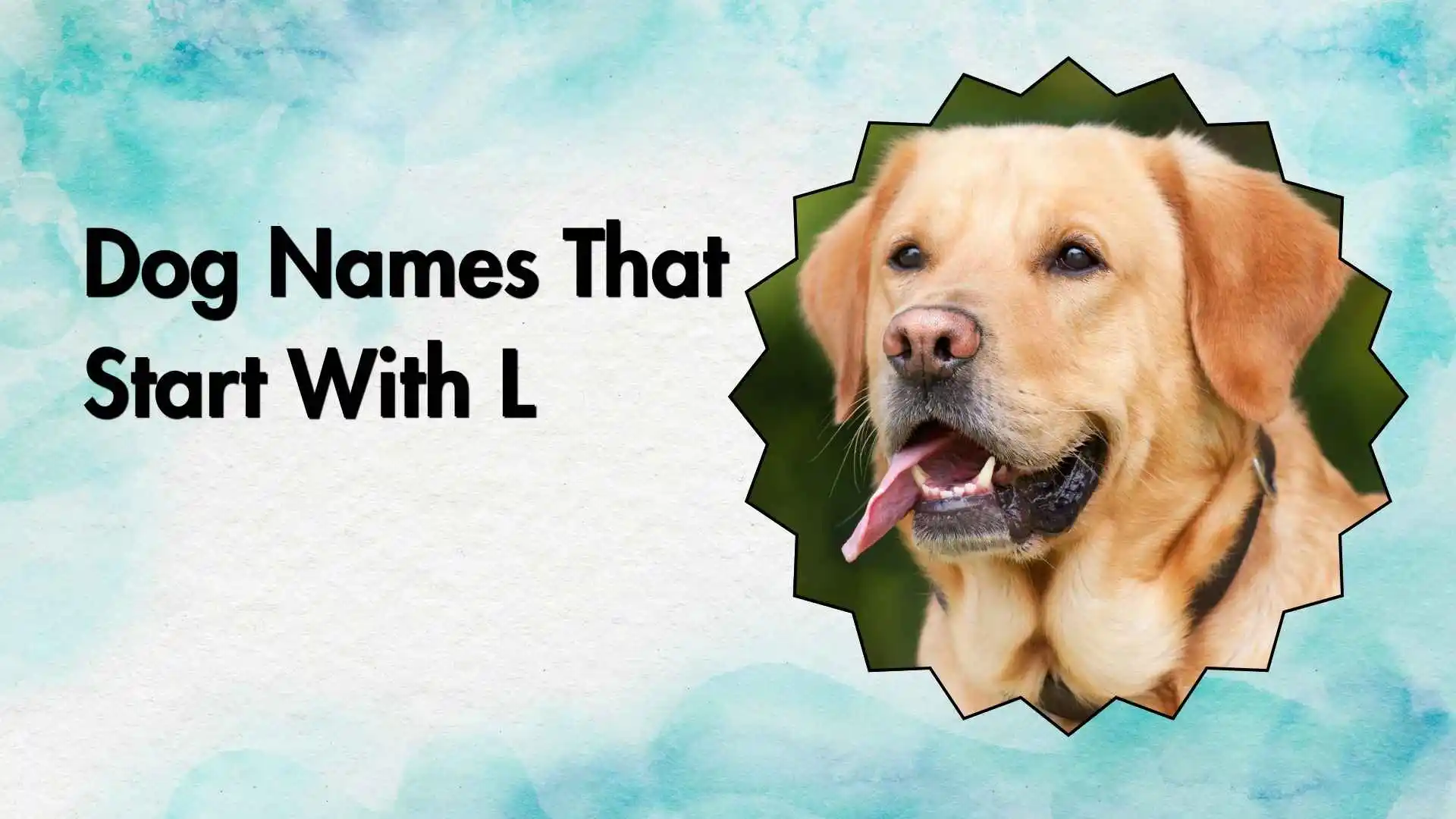 dog names that start with l