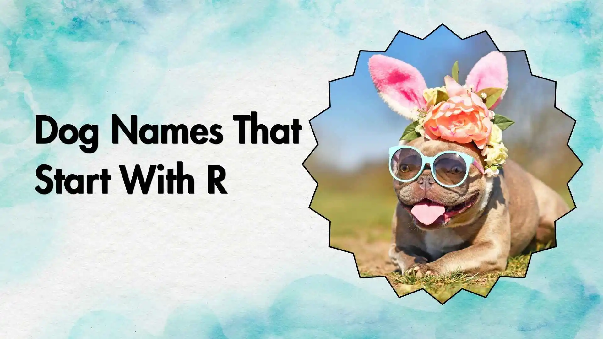 dog names that start with r