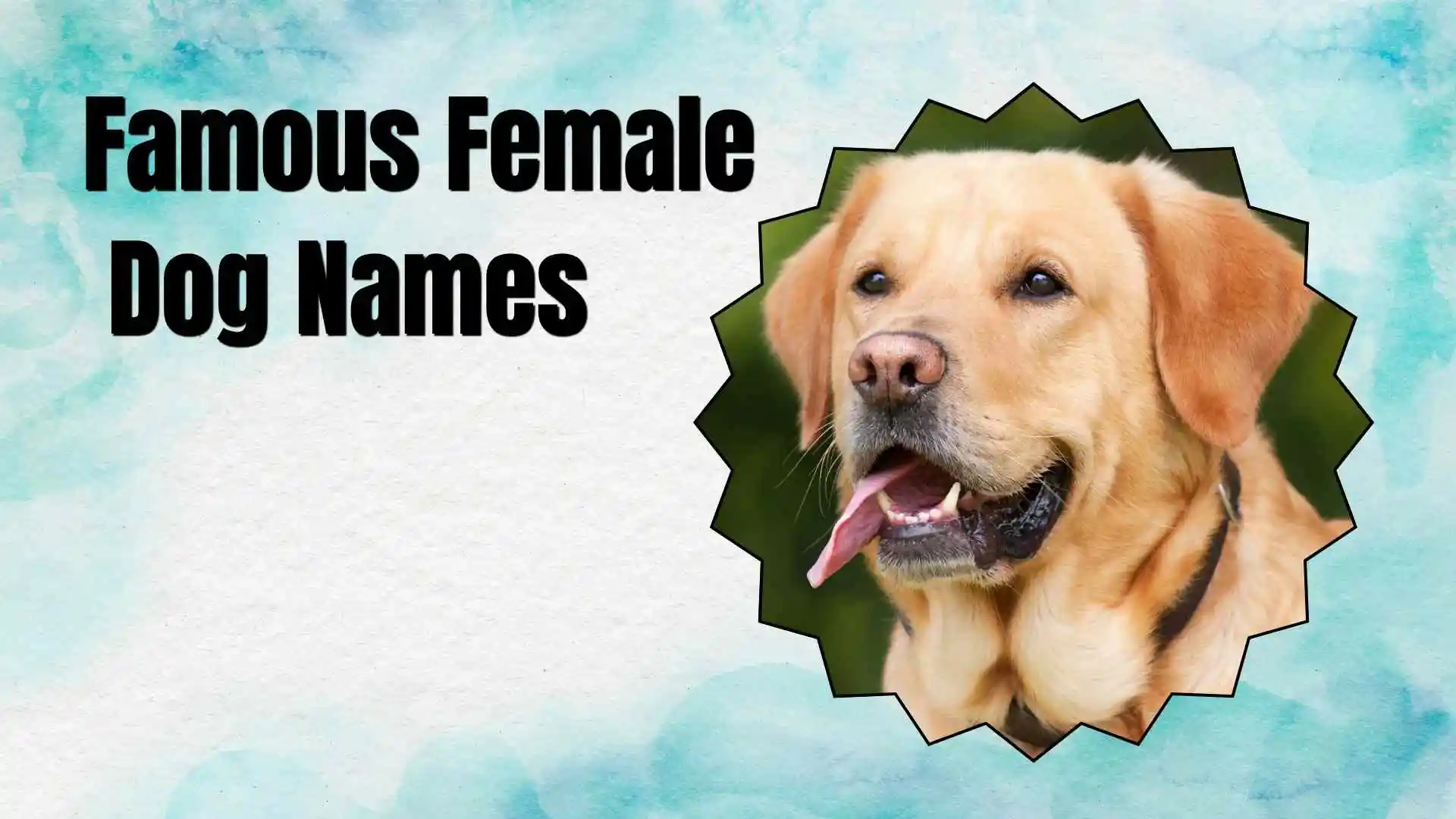 famous female dog names
