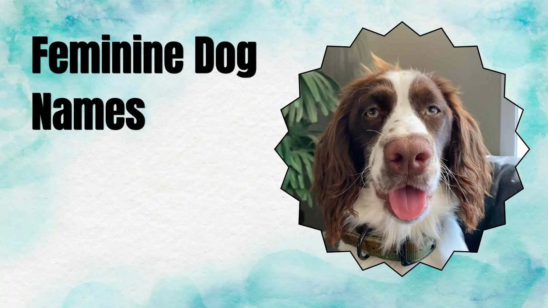 feminine dog names