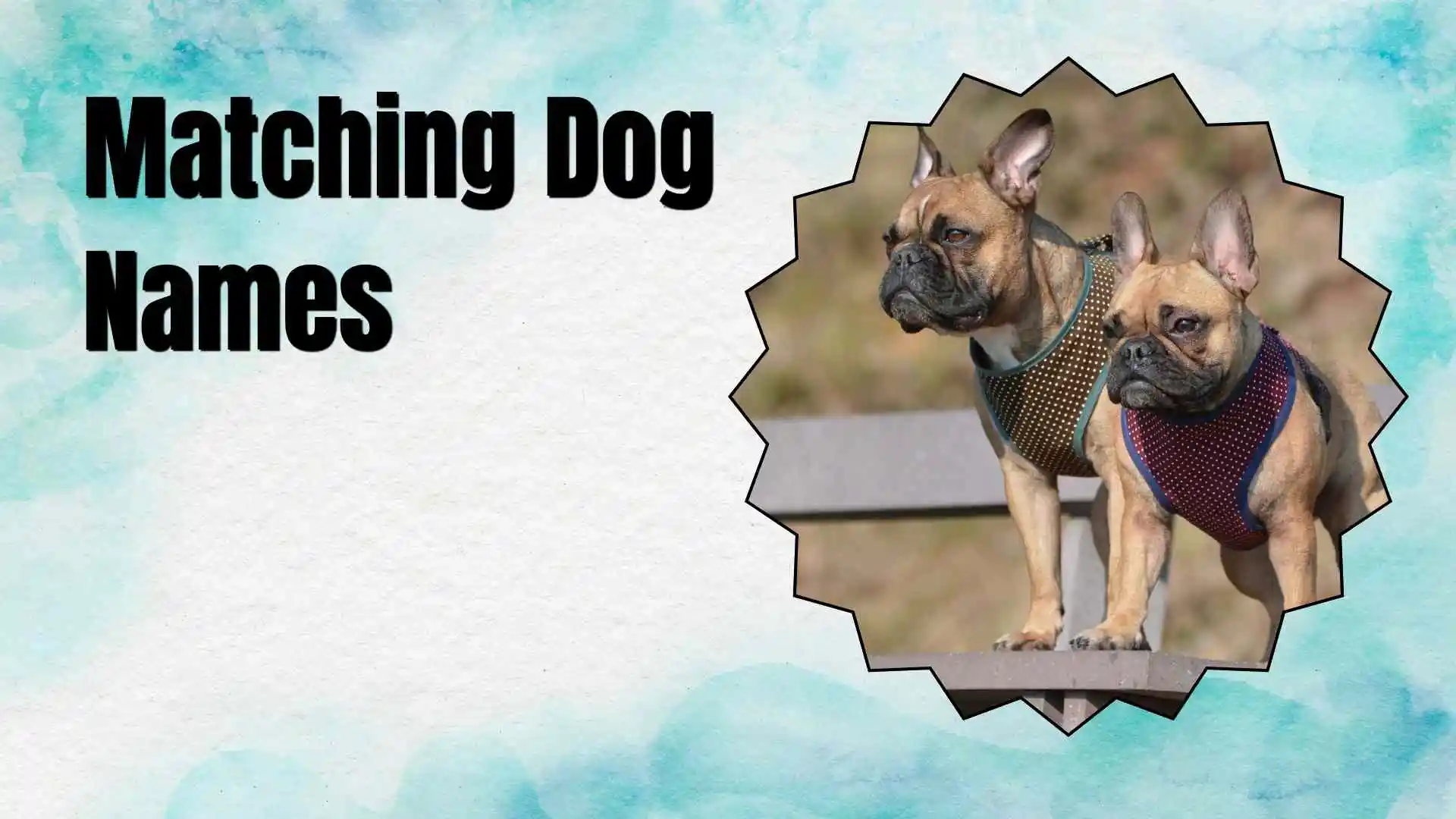 matching dog names