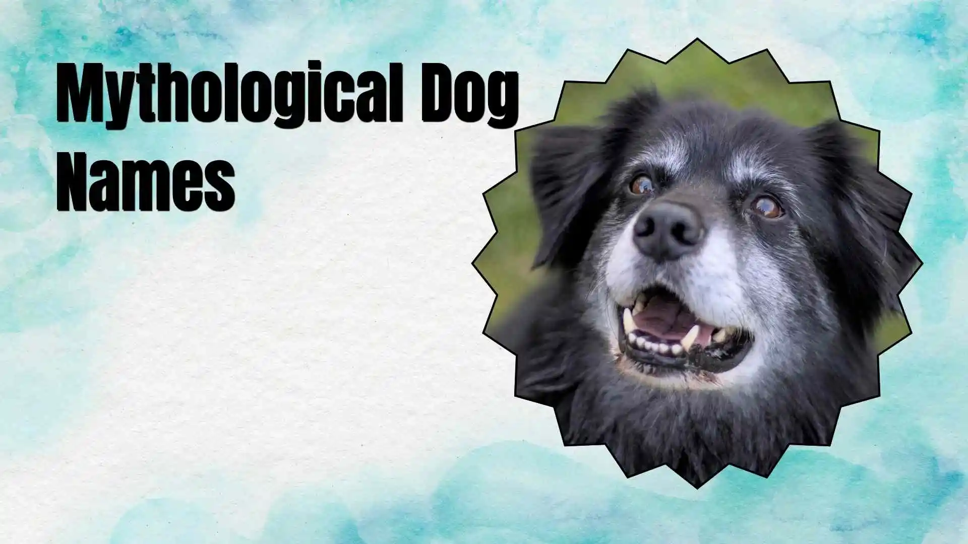 mythological dog names