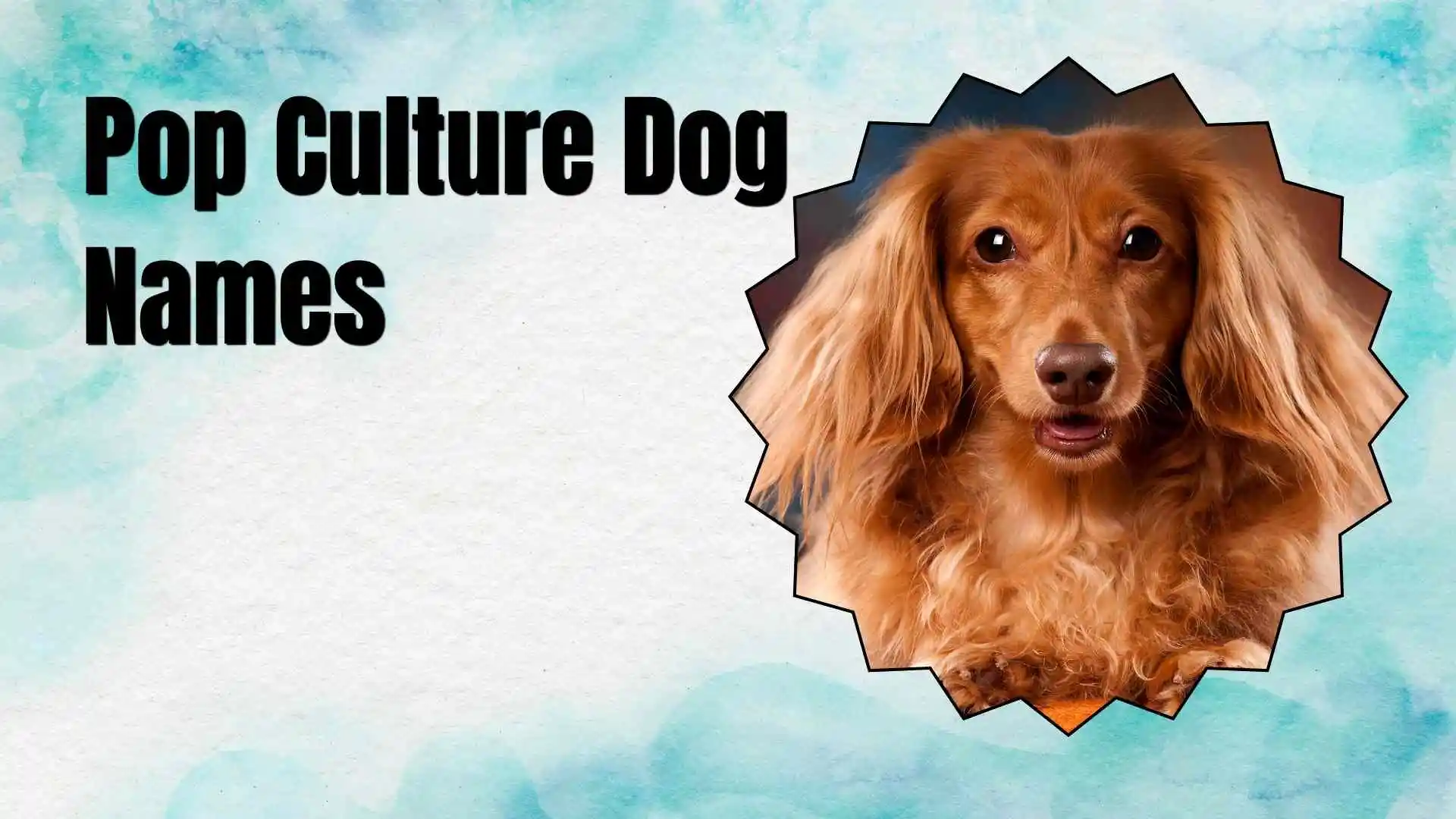 pop-culture-dog-names