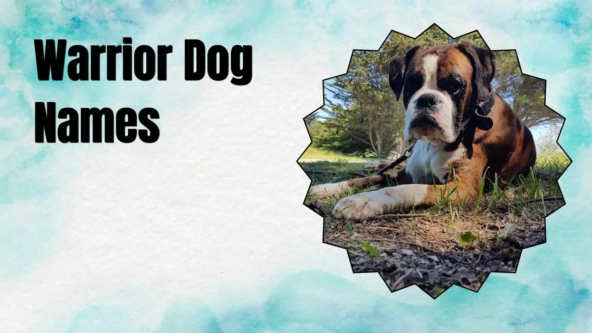 warrior dog names