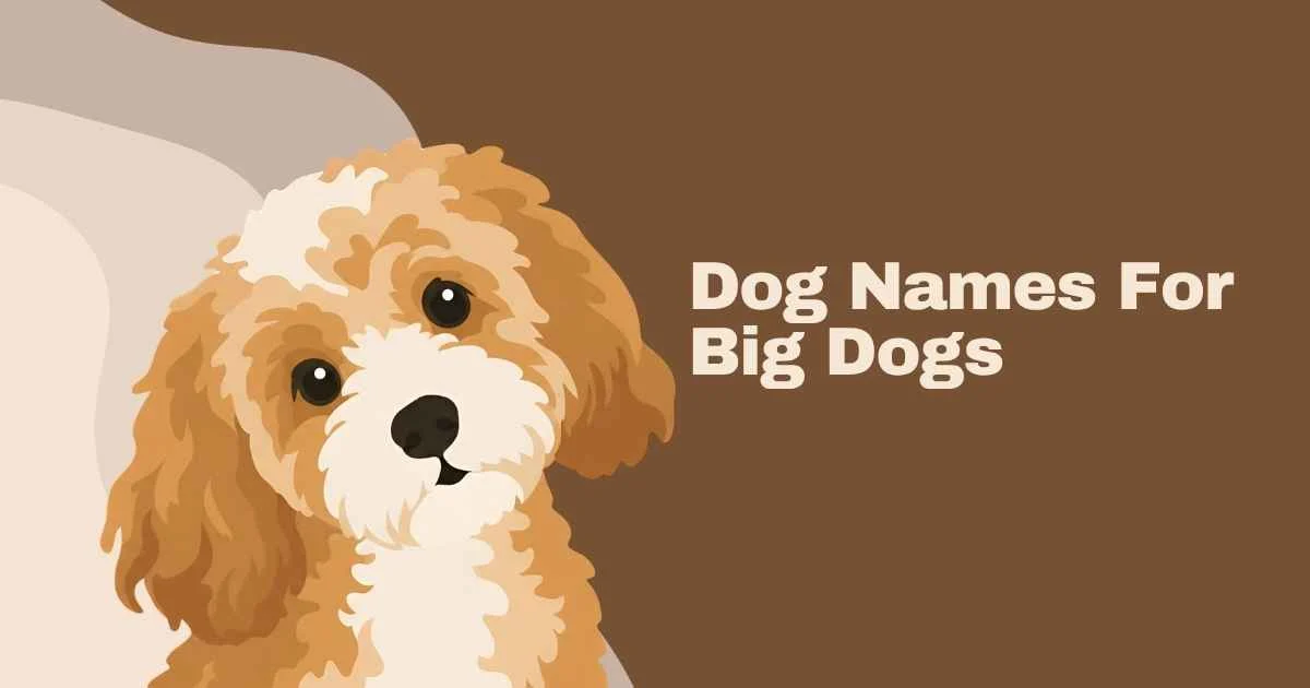 dog names for big dogs