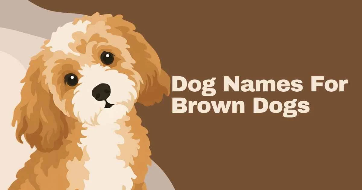 dog names for brown dogs