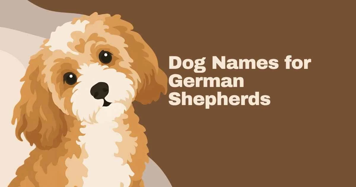dog names for german shepherds