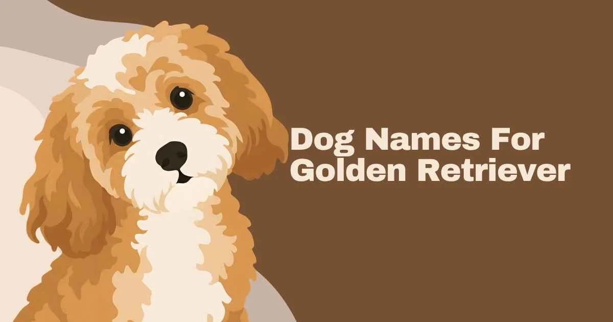 dog names for golden retriever