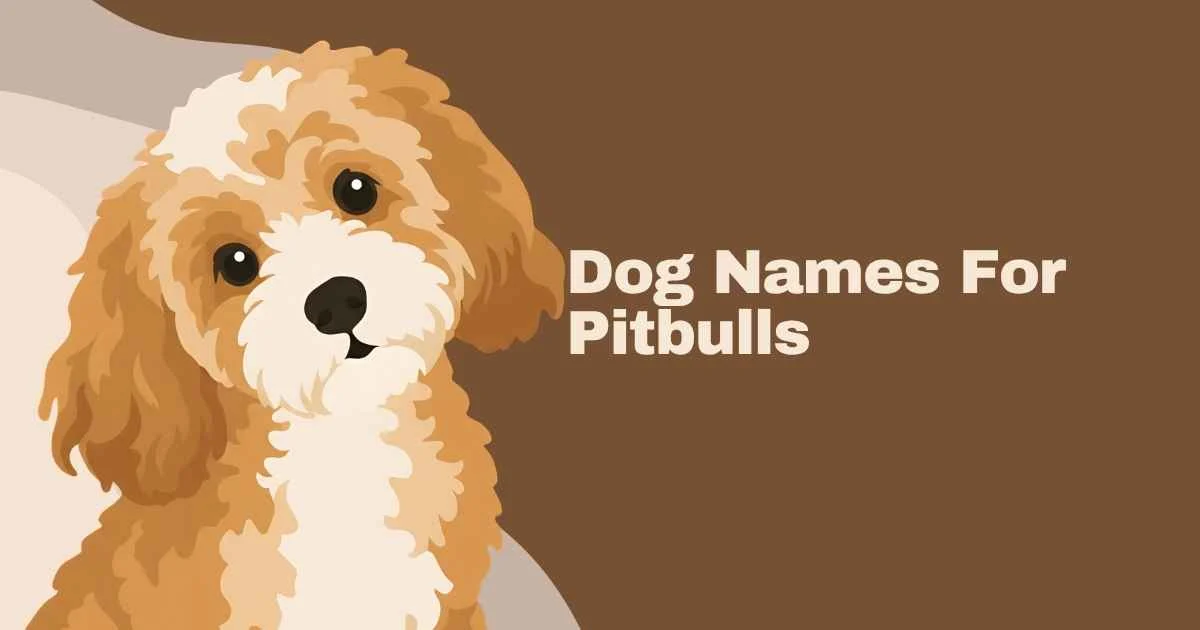 dog names for pitbulls
