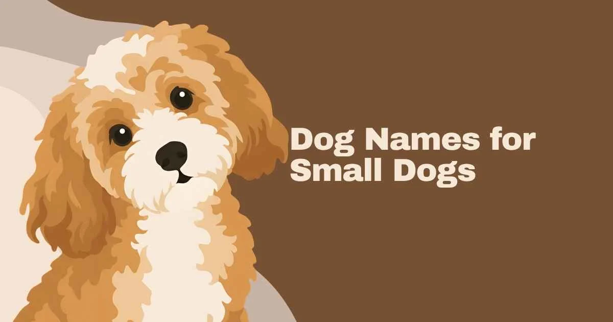 dog names for small dogs