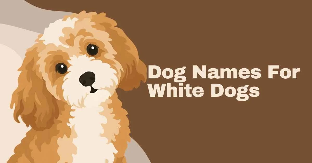 dog names for white dogs