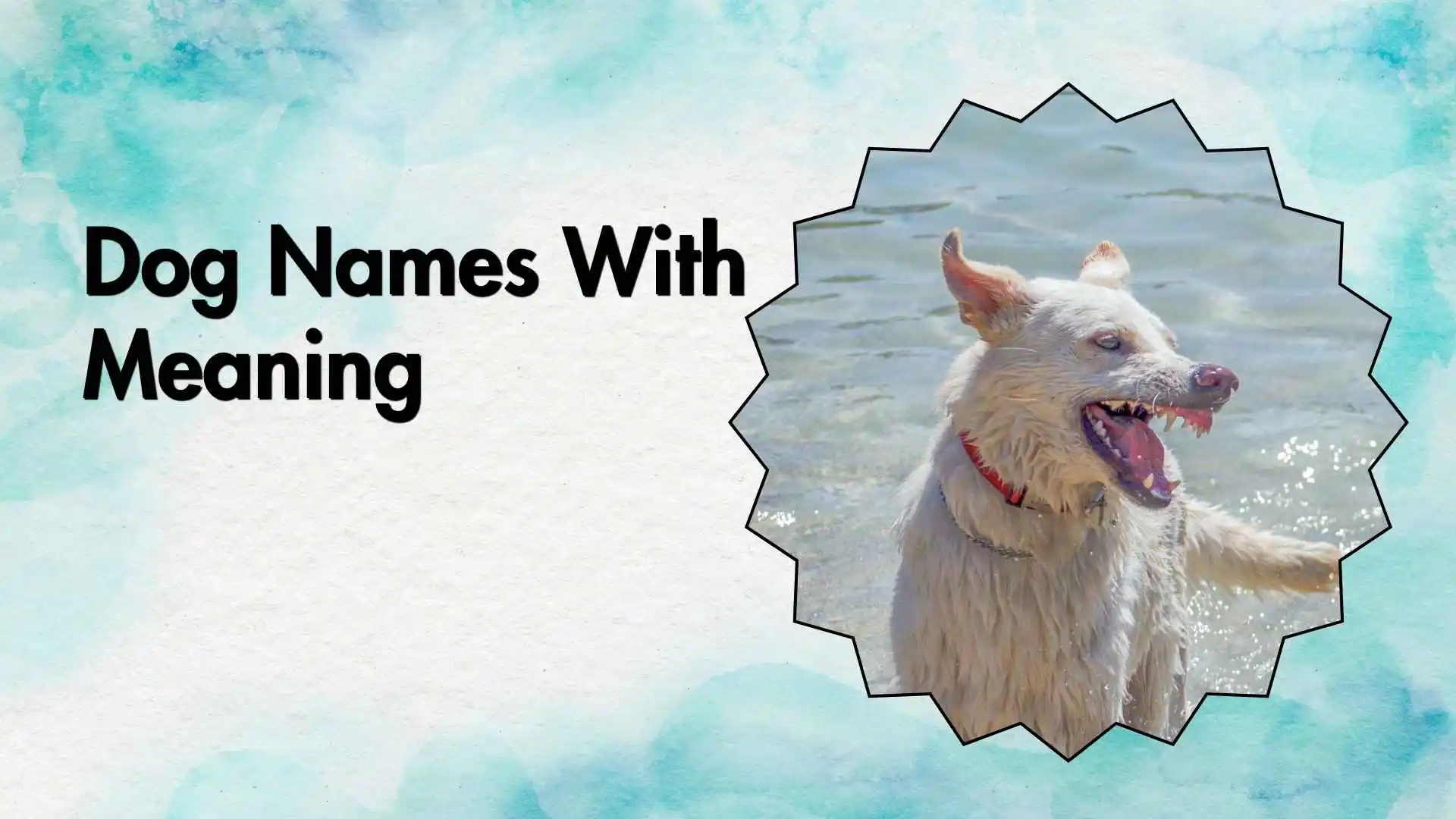 dog names with meaning
