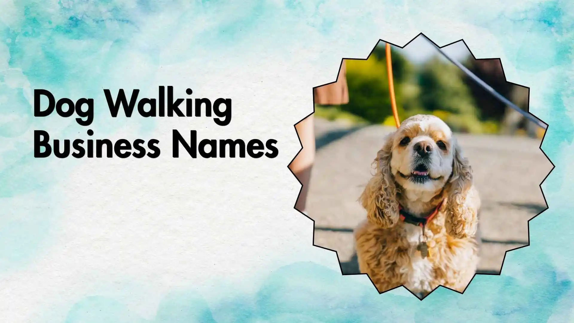 dog walking business names
