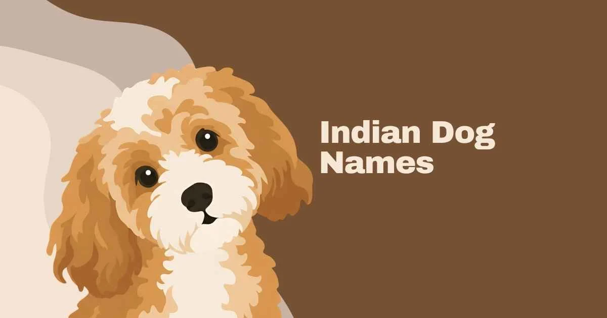 indian dog names
