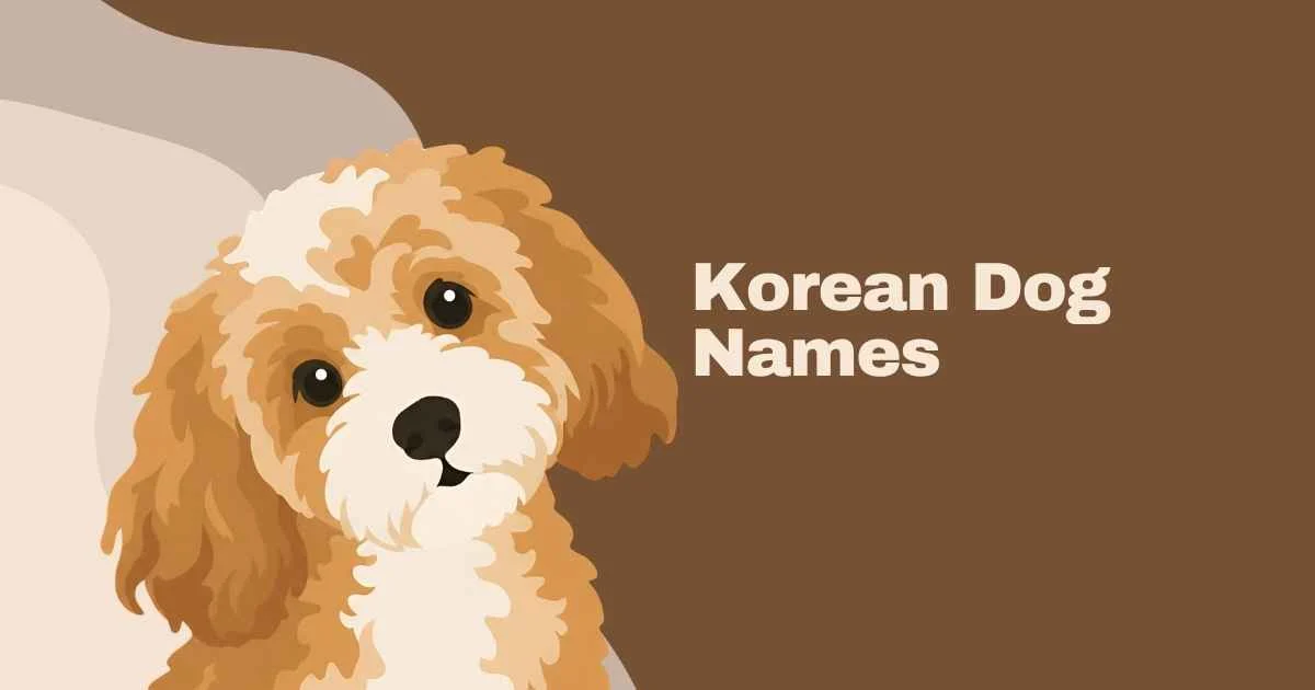 korean dog names
